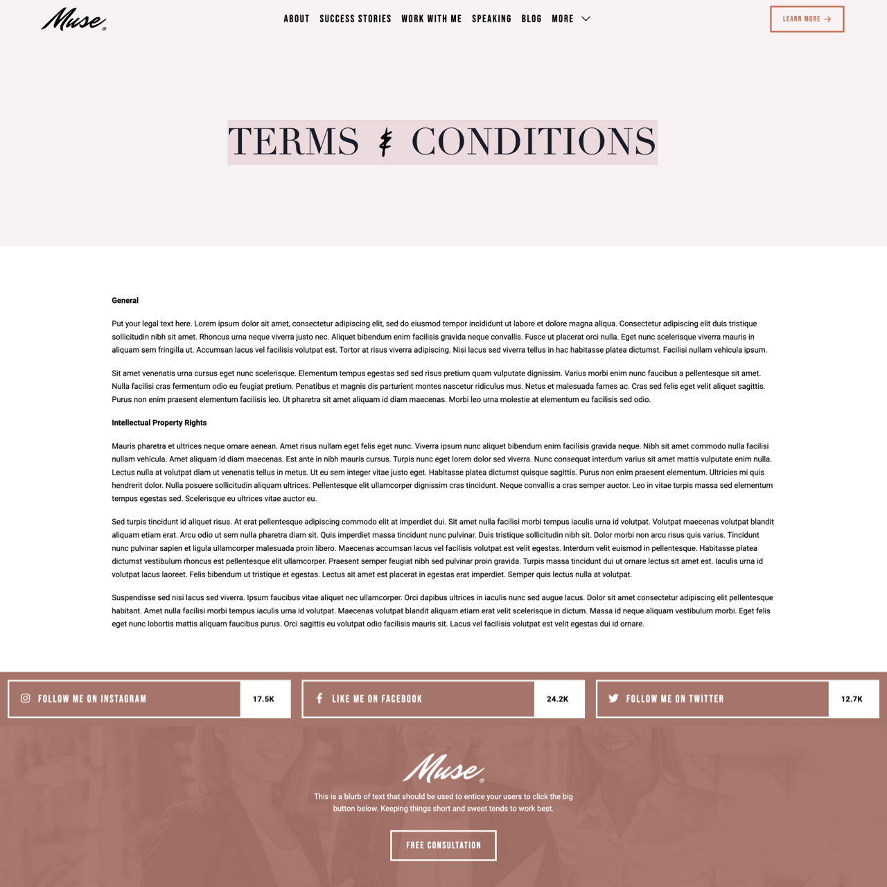 terms and conditions