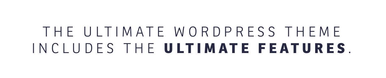 X | The Ultimate WordPress Theme - 19