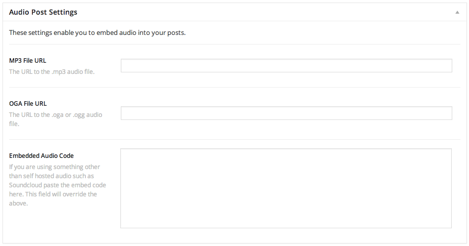 Post Meta Options – Audio